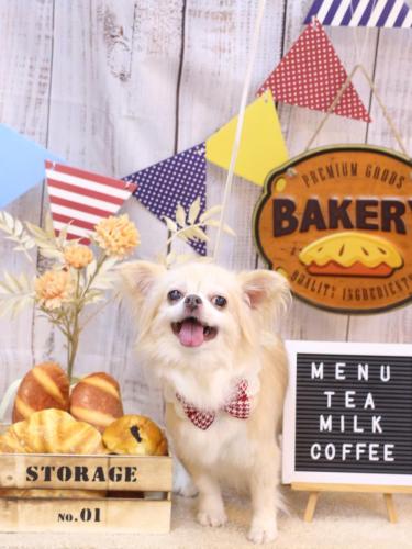 20240921チャッピーちゃん